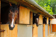 free Marten stable construction quotes